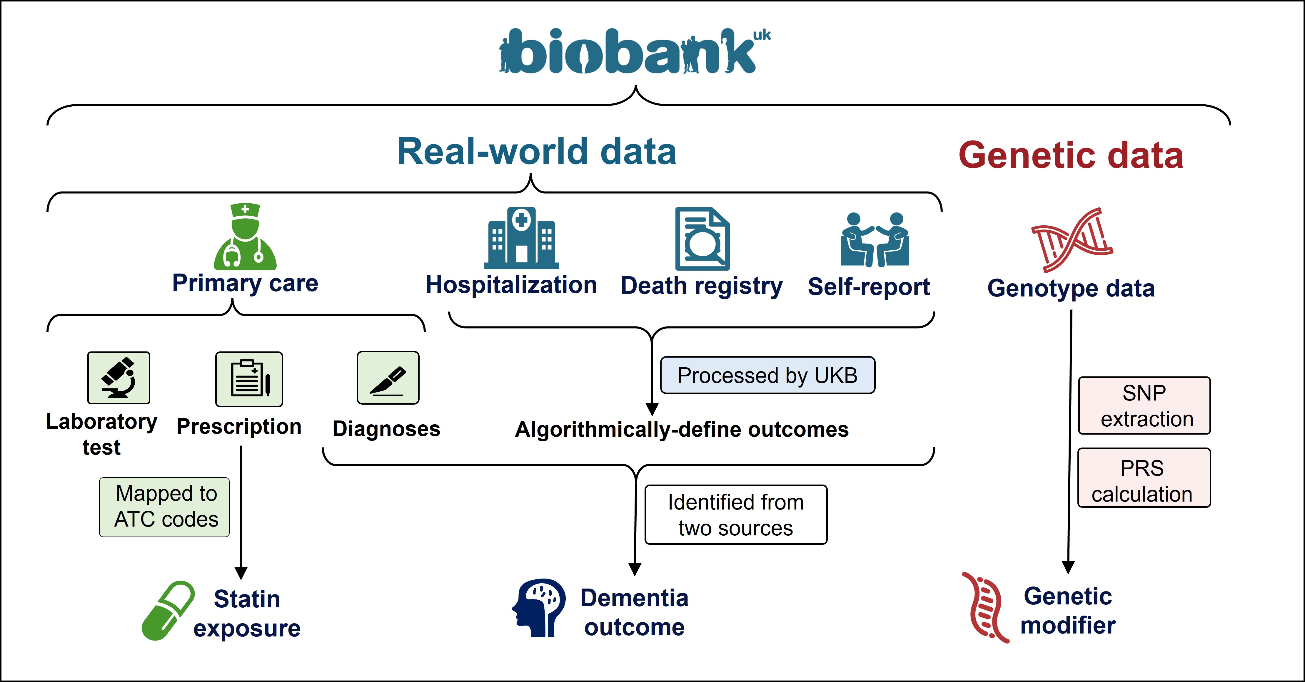Integrated genetic-RWD to assess drug effects